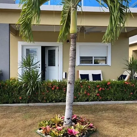 Ccbs Paradise Jamaica-2